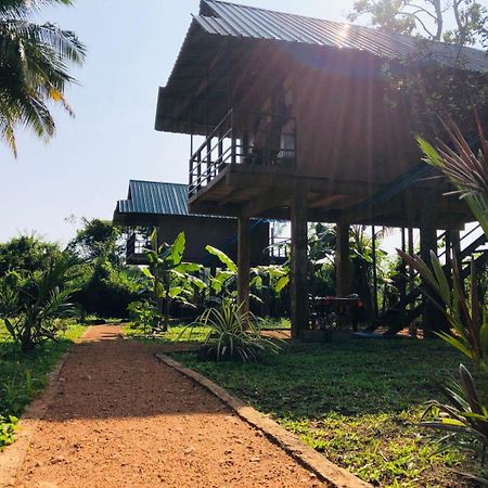 Sigiriya Paddy Field Hut Villa Bilik gambar