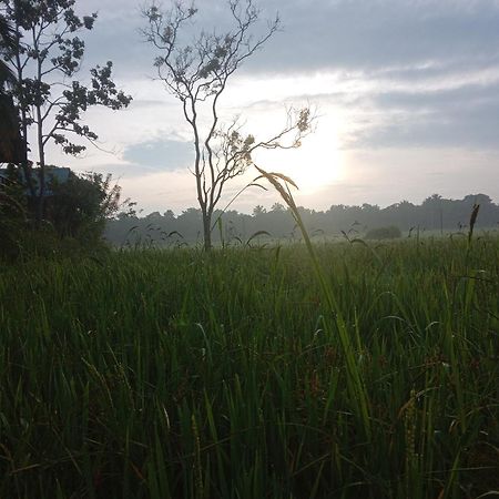 Sigiriya Paddy Field Hut Villa Bilik gambar