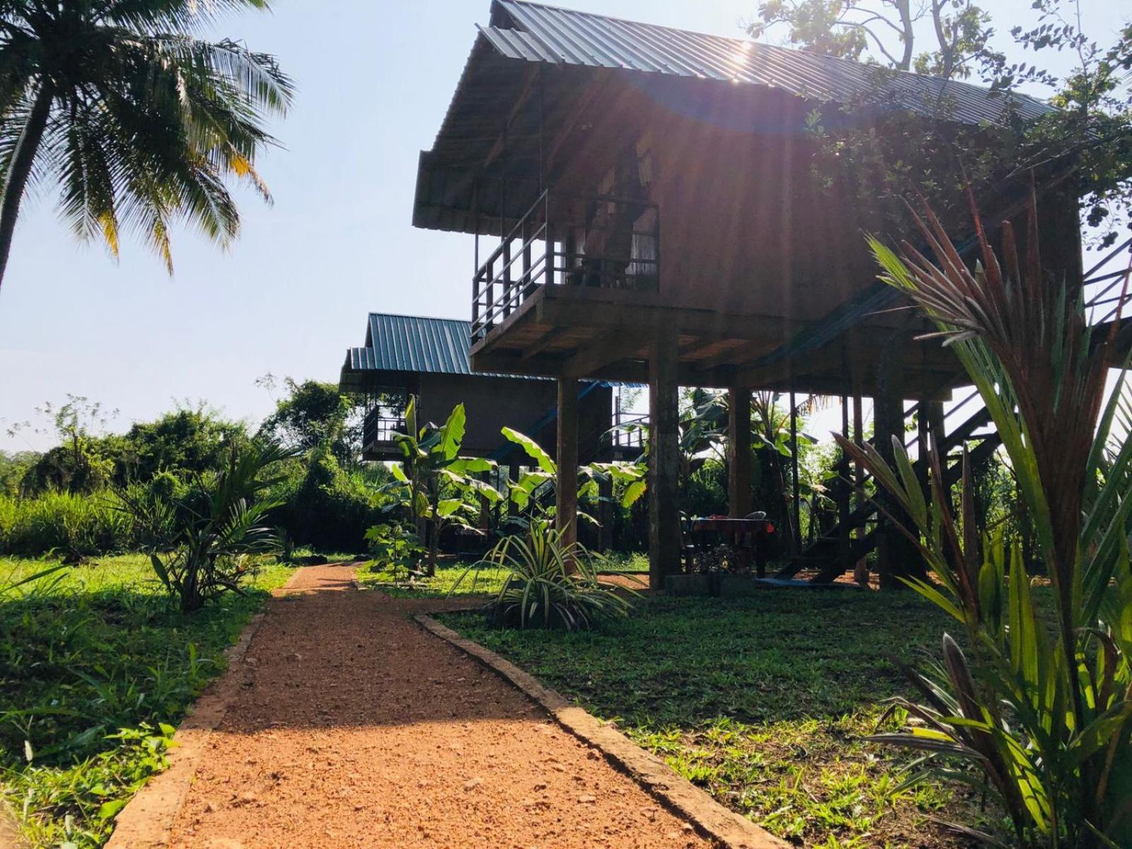 Sigiriya Paddy Field Hut Villa Bilik gambar