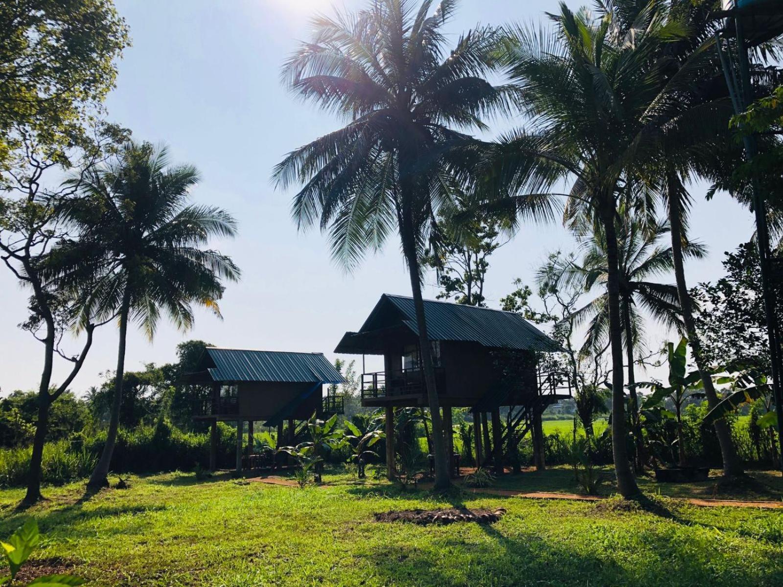 Sigiriya Paddy Field Hut Villa Bilik gambar